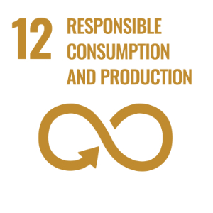 SDG 12 ─ 負責任消費和生產